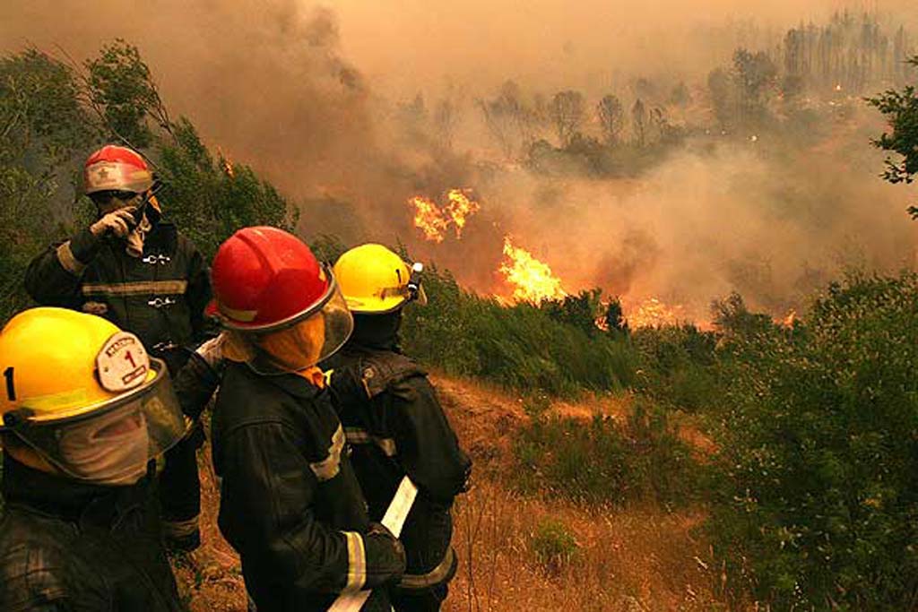 El Gobierno de #Chile pide ayuda internacional ante la imparable oleada de incendios forestales #IIFF
