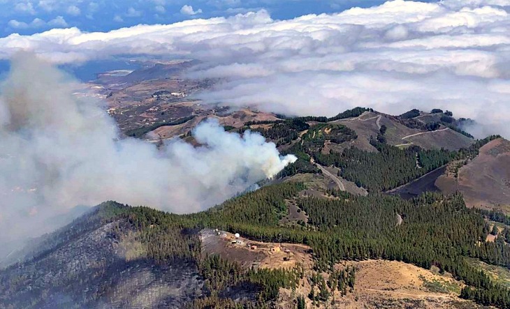 El diario LA PROVINCIA inicia una campaña para revitalizar las zonas de Canarias afectadas por el fuego