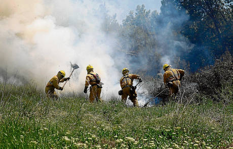 Once cuadrillas empiezan los trabajos de prevención de incendios en Aragón
