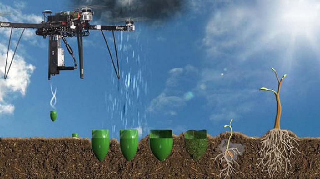 Drones para reforestar bosques arrasados por #IIFF