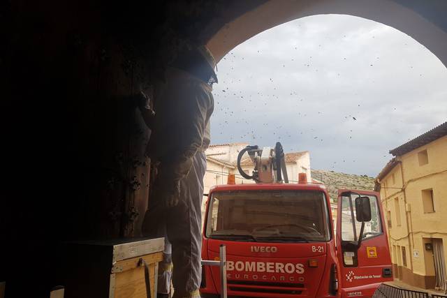 Las salidas de los bomberos de Teruel para retirar enjambres se disparan de 7 a 48