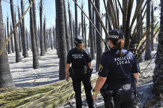 Los bomberos ya han extinguido 12 incendios en los palmerales de ELX en lo que va de año