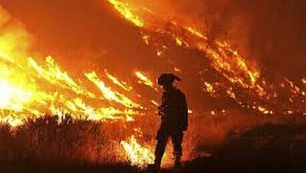 La @guardiacivil detuvo a 15 personas por los incendios forestales que arrasaron #Asturias en diciembre