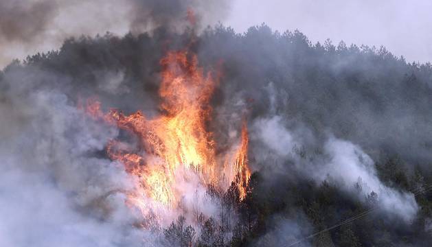#Bomberos de Navarra y efectivos de la UME intercambian experiencias