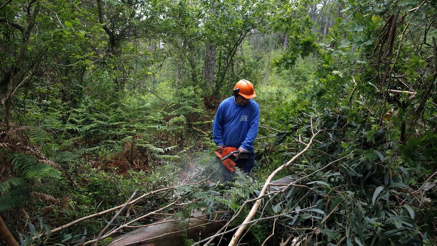 La Xunta de Galicia y Fegamp crean un sistema público para proteger los núcleos poblados de los incendios