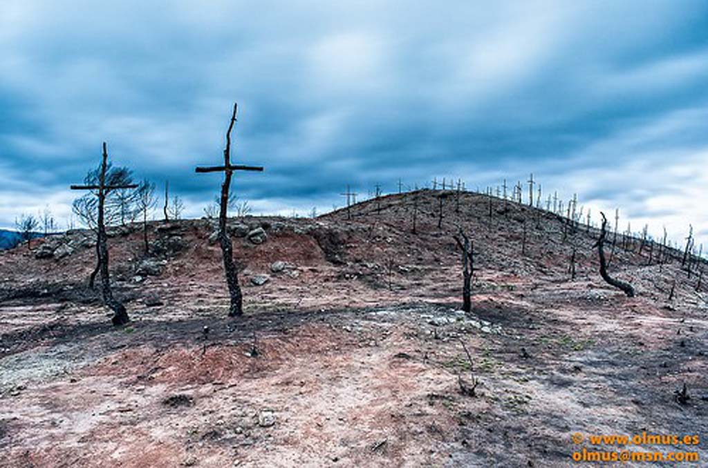 Un bosque de cruces en El #Bruc para concienciar contra los incendios forestales