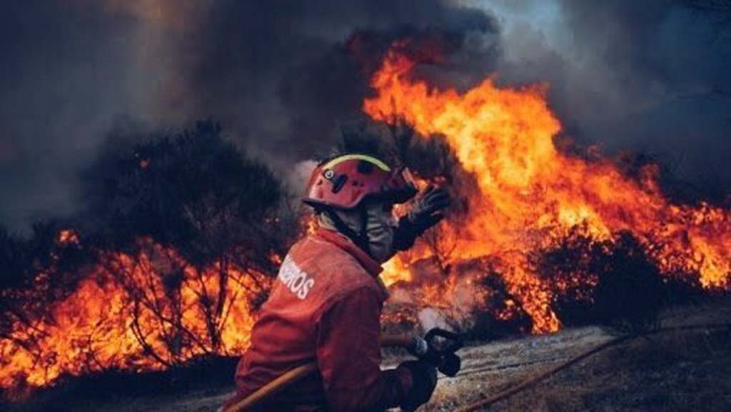 Portugal, el cuarto país del mundo con mayor pérdida de masa forestal en el siglo XXI